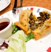 Liver/Koliza Singara
